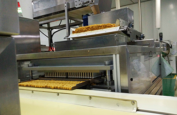 Productielijn voor snacknoedels